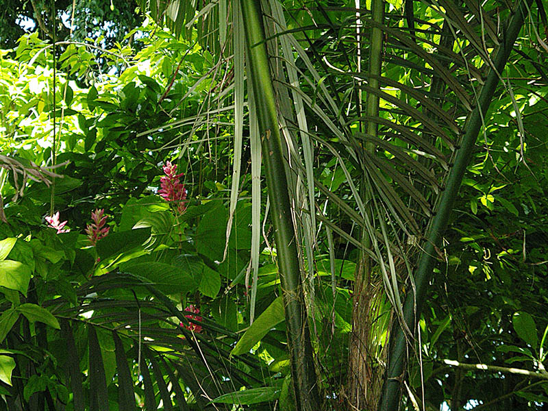 slideshow